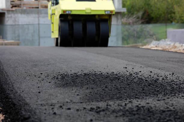 Best Driveway Paving Contractor  in Bement, IL