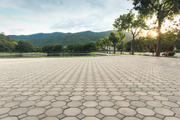 Best Interlocking Driveway Pavers  in Bement, IL